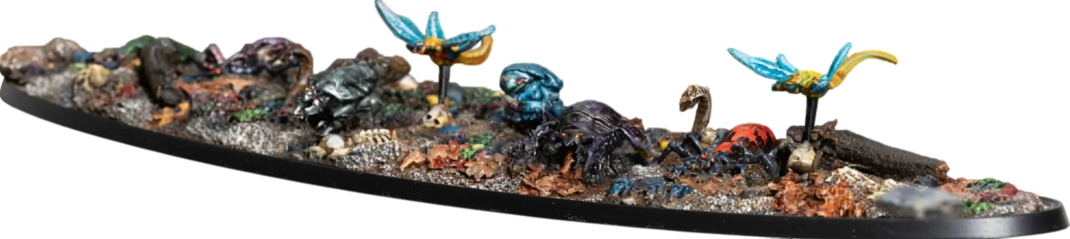 Detritus Denizen Swarm model